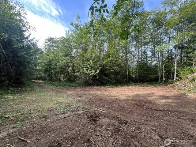 Lot 11 Clearing - TONS of space to park and view the Ridge
