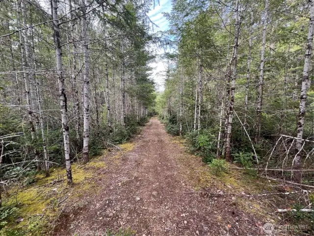 Upper loop road near lot 9/10