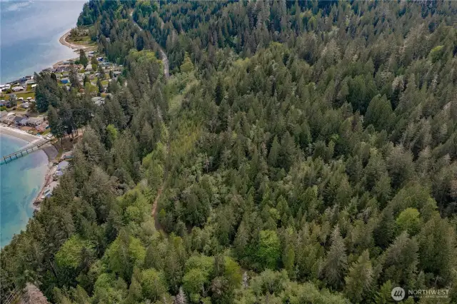 You can see the easement road that runs through the trees - leading you easily through all 11 lots for easy viewing!
