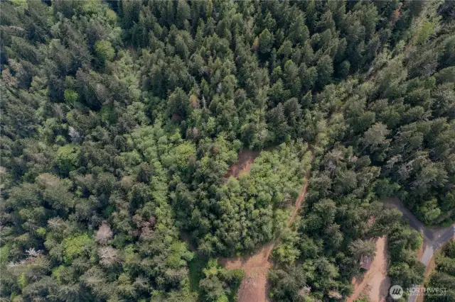 This overhead view shows the end of Lot 11 with Hamma Ridge Road in view to the lower right side.