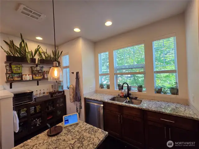 Lovely, Charming bright Kitchen, with picturesque Foliage Street Views.