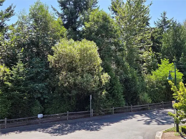 Plenty of Walking Trails