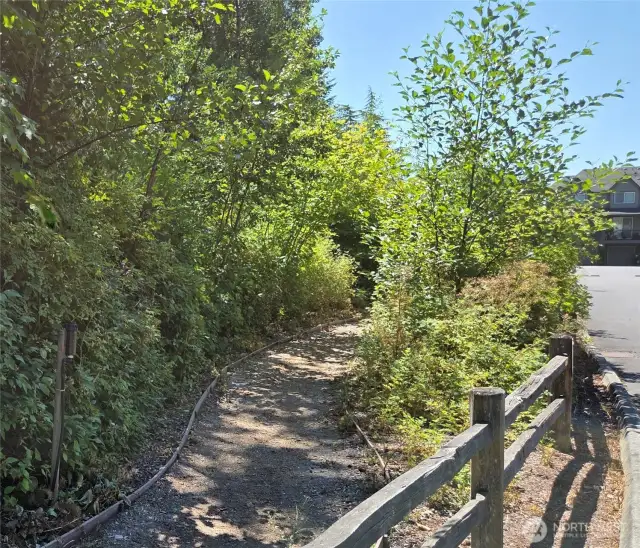 More Walking Trails.