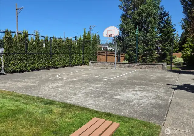 Perfect Sports Court