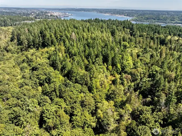 Bremerton & Sinclair Inlet in the background, Seattle skyline on the horizon.