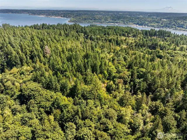 In the background, Port Orchard across Sinclair Inlet is on the left, Mt. Rainier on the right.