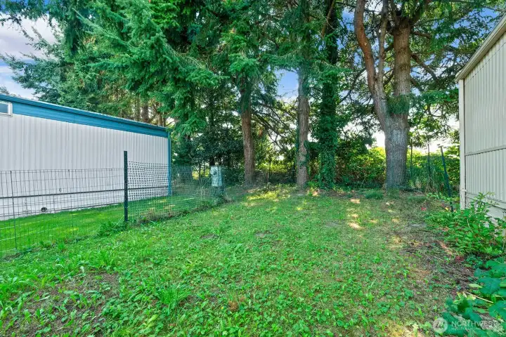 Private fenced backyard with mature trees—great for pets, gardening, or simply relaxing outdoors.