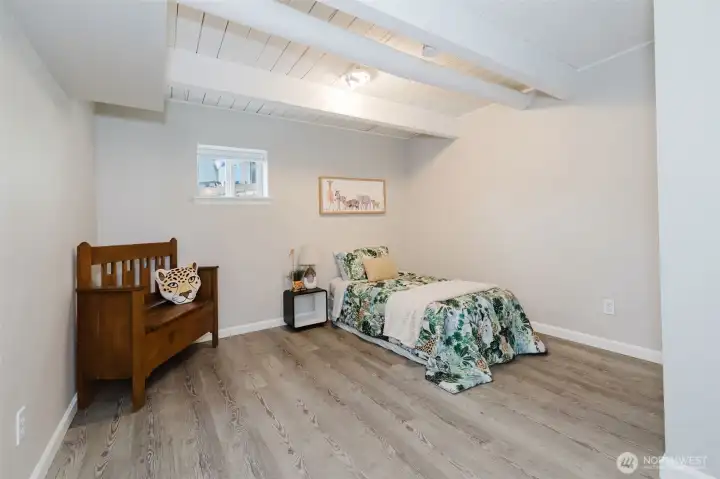 Another downstairs bonus room!