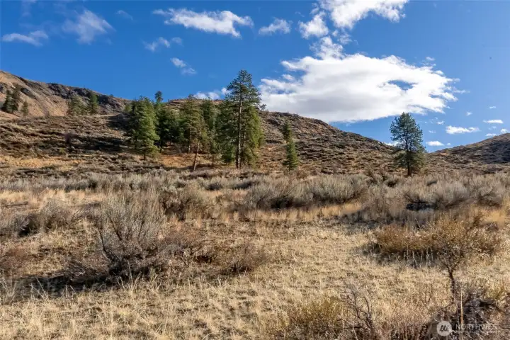 It is adjacent to acres of public land and walking and horseback riding easements make accessing the backcountry easy.