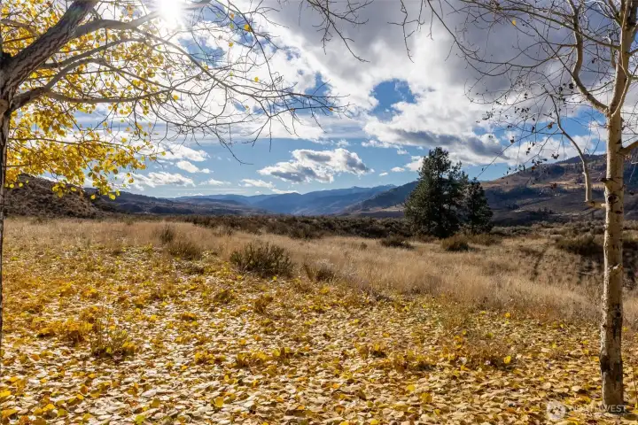 The property is set within the Methow Valley's notable shrub steppe habitat which comes alive in spring with native flowers and migrating songbirds.