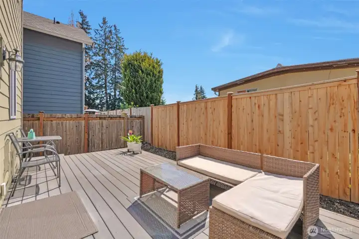 backyard new fence