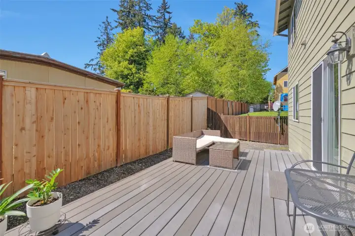 backyard new fence