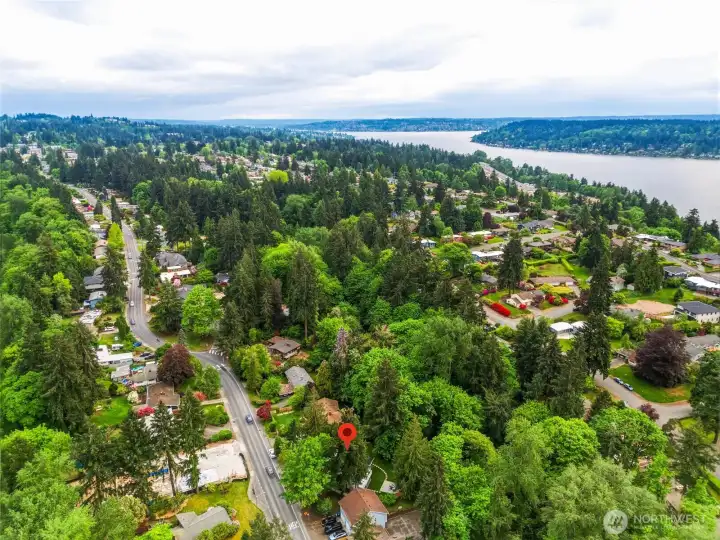 Aerial neighborhood view showcasing the convenient Bellevue location near parks, amenities, and commuter routes.
