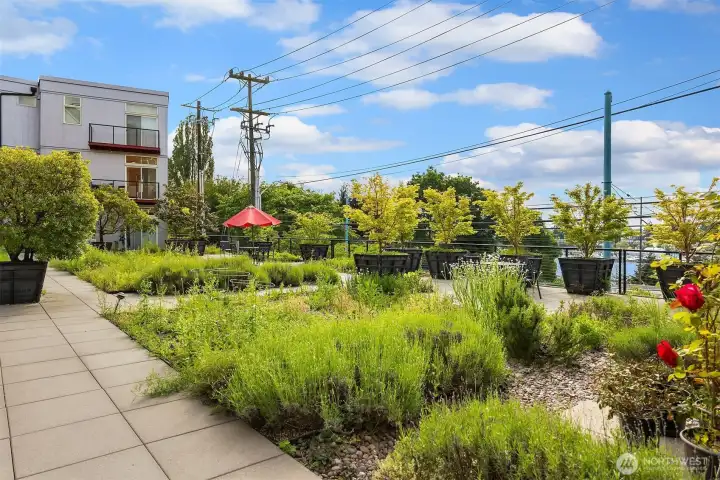 Garden Courtyard