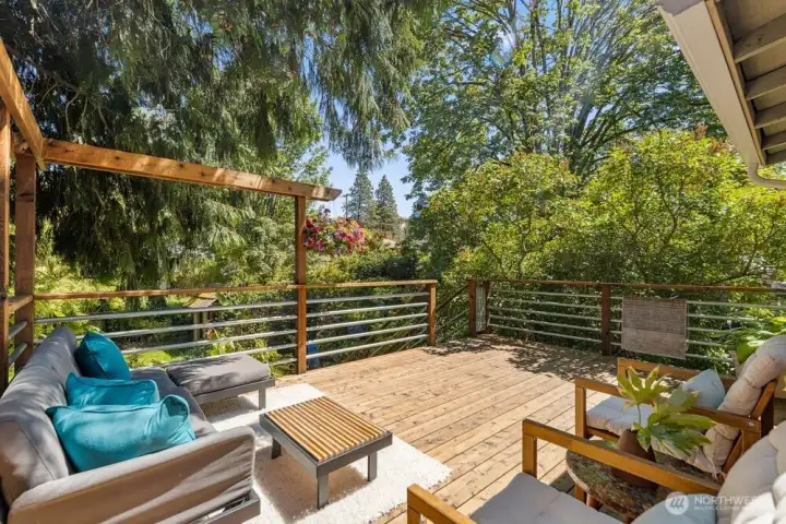 The backyard feels like a nature getaway