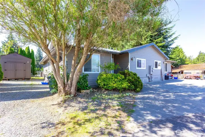 Love the shade tree and each unit has a great shed!!
