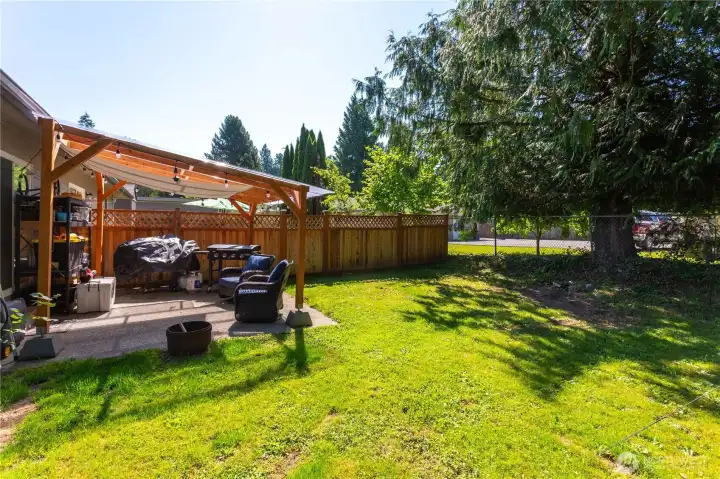 602-Awesome back yard