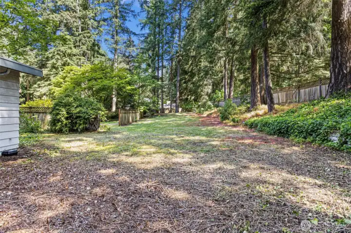 East side of the property.