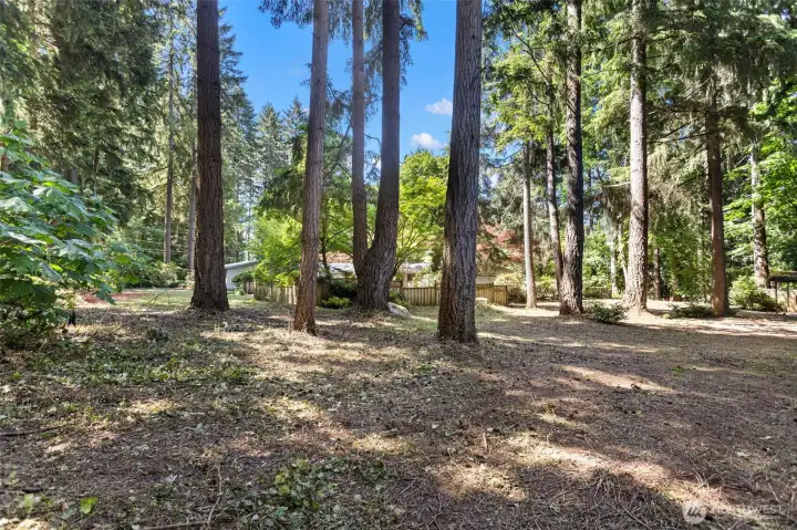 Perspective from the NE corner of the property