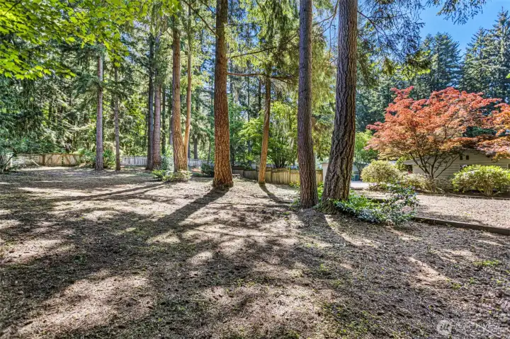 Perspective from the back NW corner of the property.