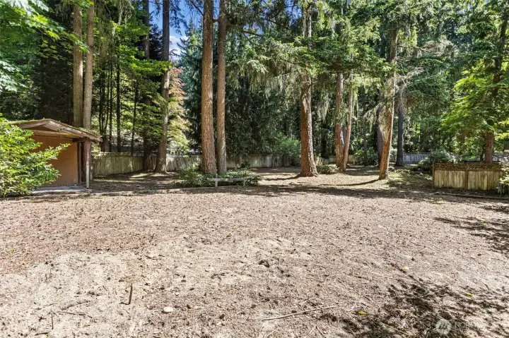 Back half of the shy acre is a blank slate for your landscaping plans