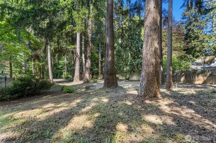NE corner of property