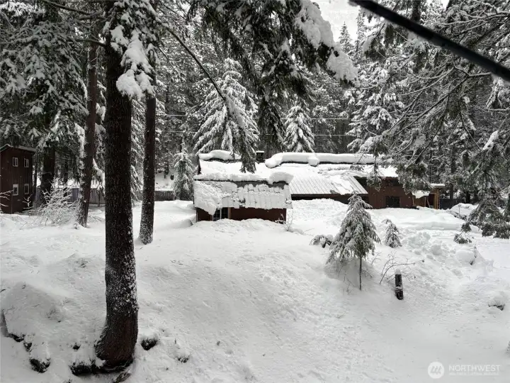 Winter Snow Winter Snow