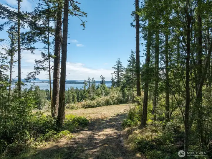 Summer driveway into this very private 5 acres with gorgeous, territorial views.