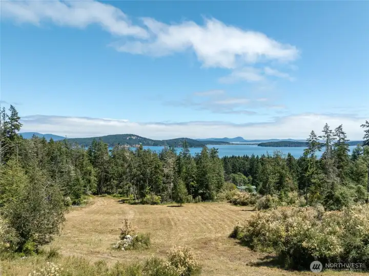 Lower level of the property is perfect for an orchard, vineyard, garden or even animals.