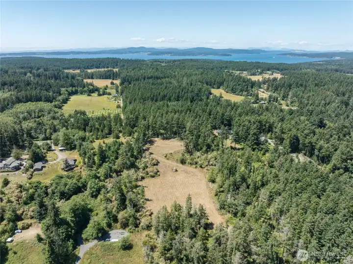 Looking up the property from the east to the west.  The lower lever is the center of the picture.
