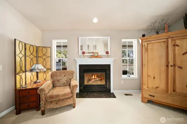 Propane fireplace in the living room.