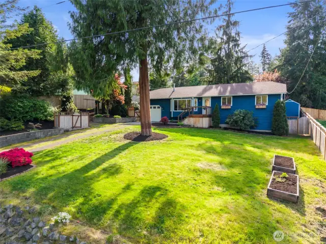 Nearly 1/4 acre!