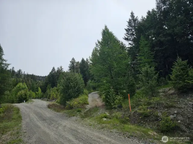 Driveway on right