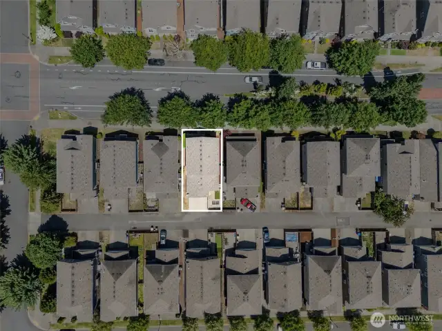 Direct Overhead View