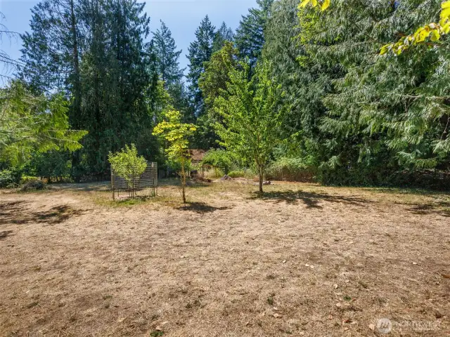 Fruit Trees & Garden
