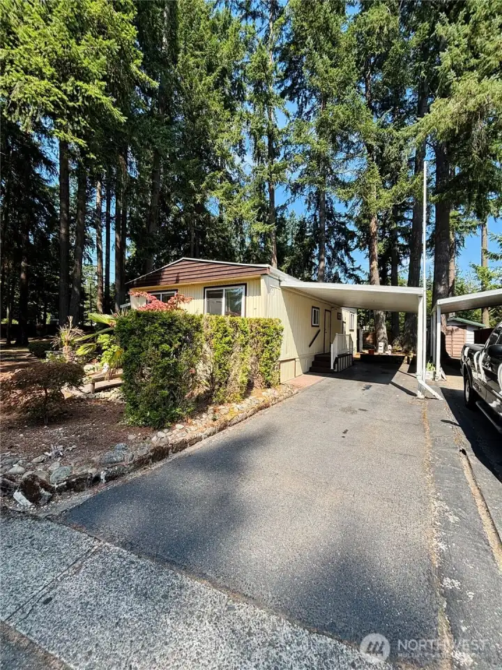 Carport and extra parking