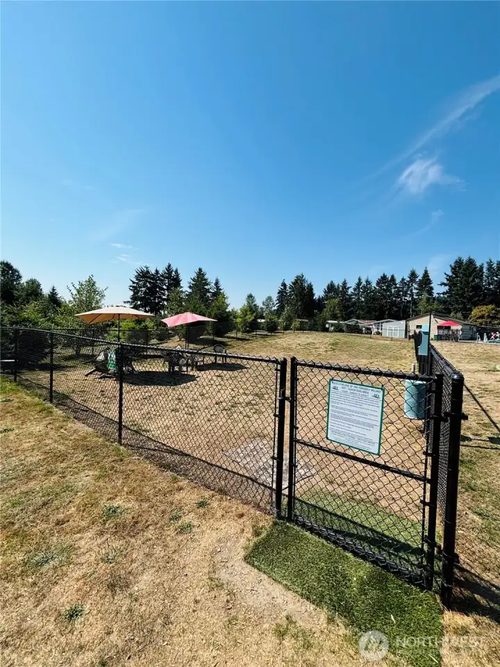 Off leash dog area