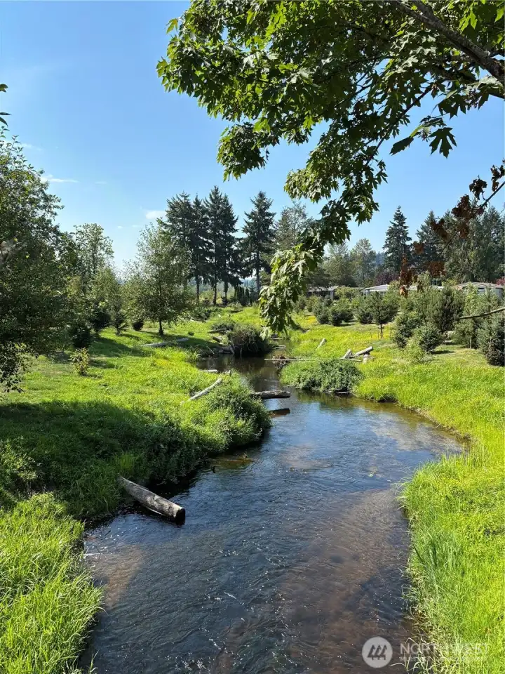 Beautiful river running through park