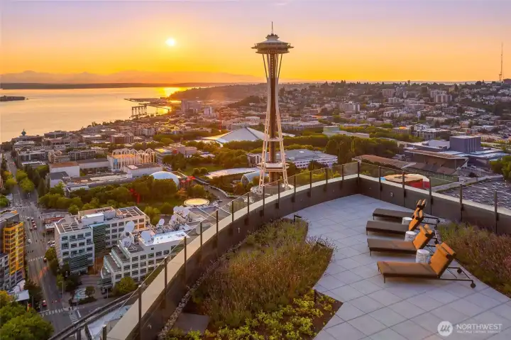 Panoramic views of downtown, the Space Needle, Elliott Bay, and the Olympic Mountains take center stage.