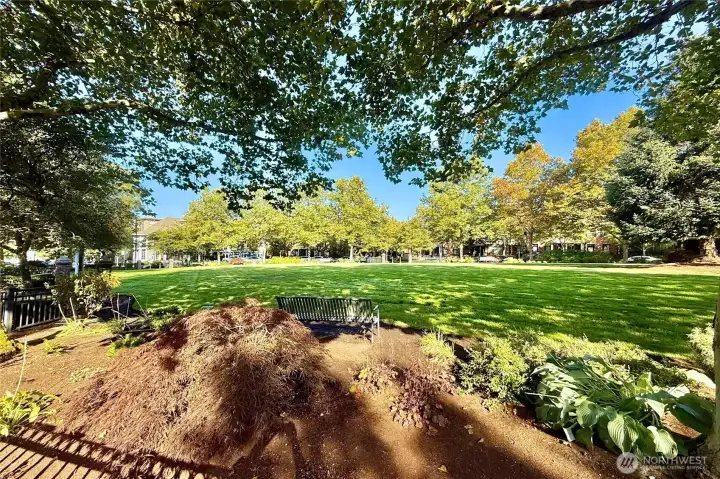 Village Green Park is perfect for tossing the ball or reading a book, Blakely Hall us across the way
