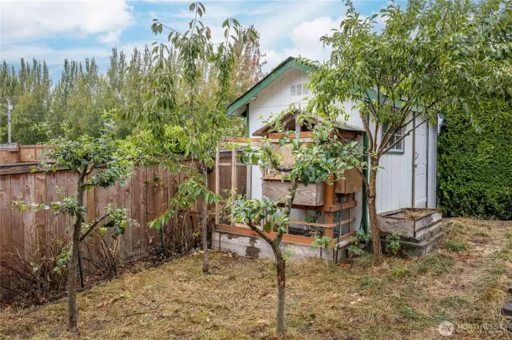 Fruit trees