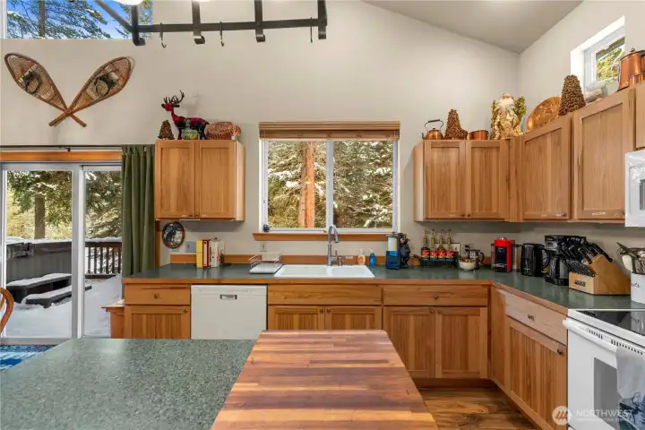 Kitchen with forest views