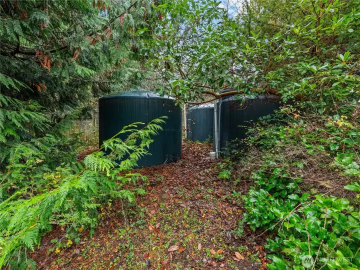 10,000 gallons of rain storage.