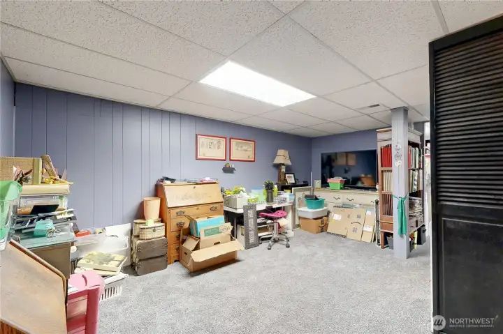Basement family room