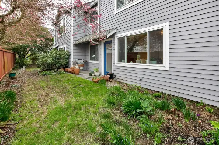 Backyard maintained by the HOA.