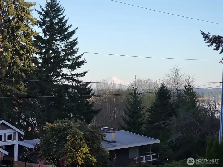 Mount Rainier