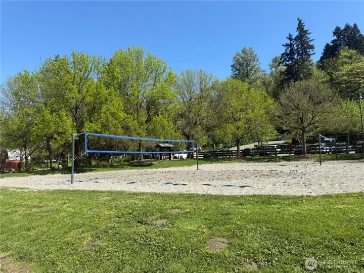 Volleyball