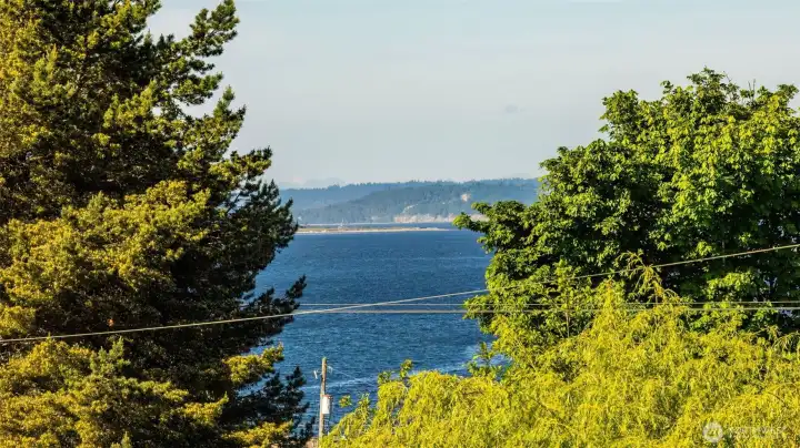 View from Deck
