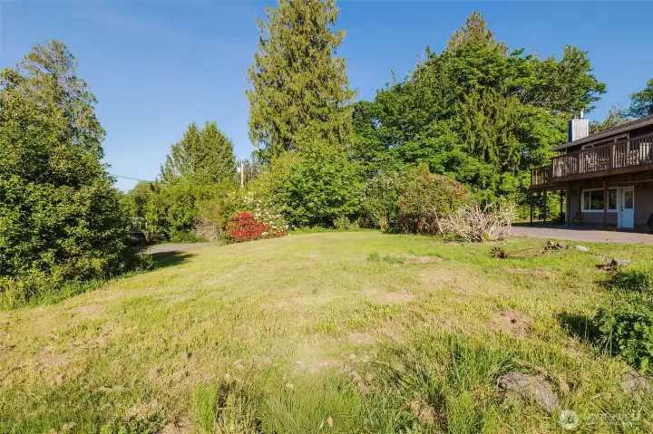 Large yard