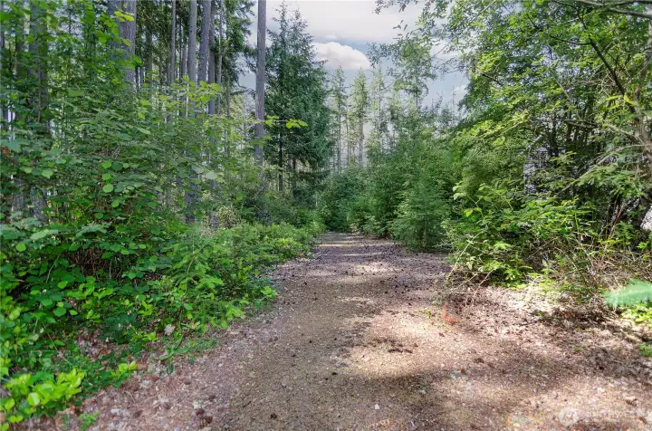 There is a community trail head in the cul de  sac, an easy walk from the house.